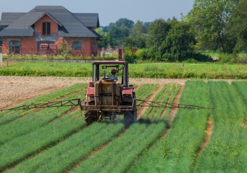 Sensacyjne odkrycie. Znalazł w ogródku formę odlewniczą z epoki brązu
