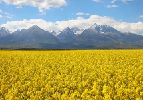 Wojna na Bliskim Wschodzie przyniesie szoki cenowe. 