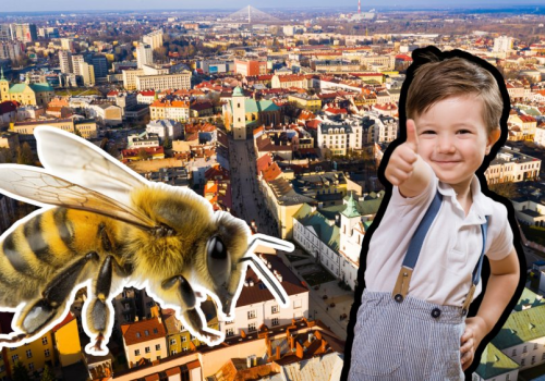 Podkarpacie kładzie na stół 36 mln zł. Pszczoły zacierają odnóża, a przedszkolaki ręce