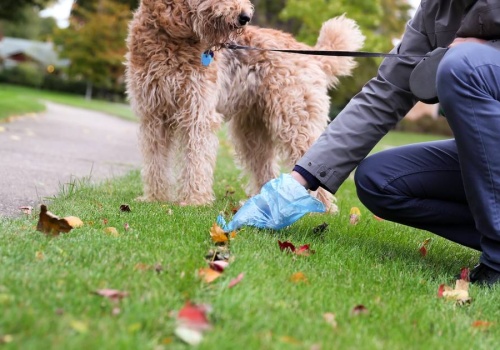 Mieszkańcy miast tego nie znoszą. Aż 65 proc. ludzi wskazuje jeden problem