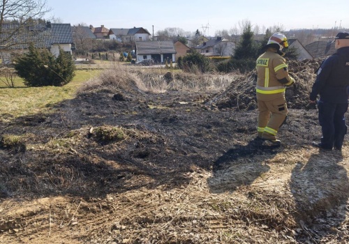 Ogień, wiatr i 30 tysięcy złotych kary. Kosztowna lekcja wypalania traw w gminie Boguchwała