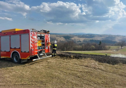 W tym roku wyższe kary za wypalanie traw