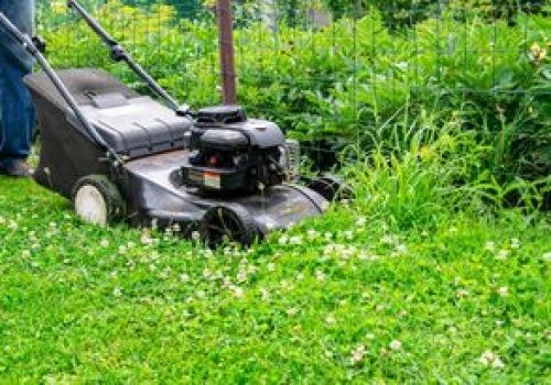 Kosisz trawę w weekend? Oto co mówi prawo