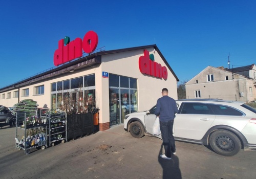 W Dino idą po swoje. 