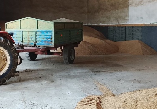 Powstaje kalkulator opłacalności. Nowy pomysł na ceny skupu