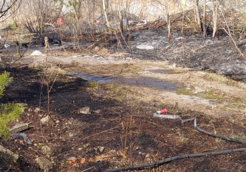 Stracił życie podczas wypalania traw. Tragedia w Pionkach