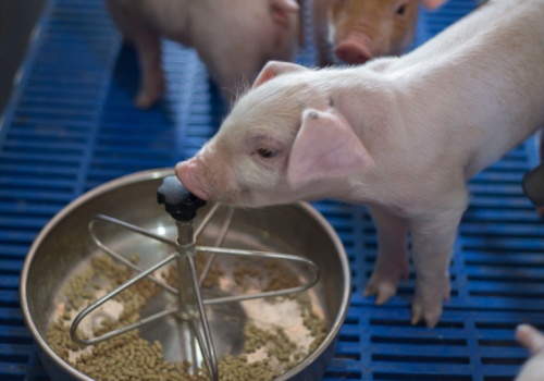 Co dalej z terminem realizacji inwestycji w ramach KPO? Mamy stanowisko ministra