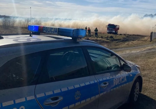 Sezon pożarów traw rozpoczęty. Ogień zauważył patrolujący policjant