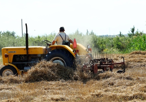 Startuje program dopłat dla rolników. Nie przegap terminu