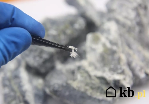 Masz azbest na działce? Rząd szykuje ważną zmianę dla właścicieli domów