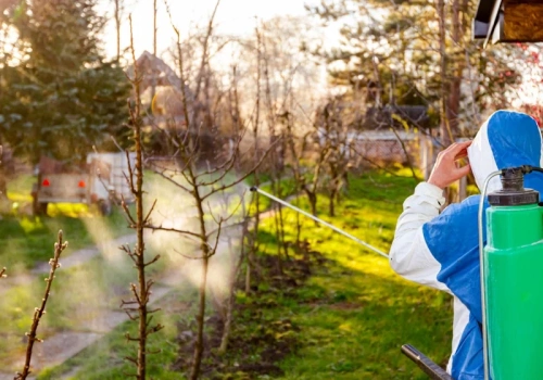 Ten produkt z apteki ratuje drzewa owocowe. Szkodniki znikają, a koszt to kilka złotych