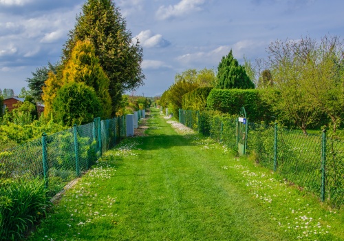 Własna działka w ROD: Jak zostać działkowcem w 2026 roku?