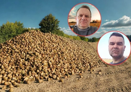 „Z buraka zniknęło mi 700 tys. zł”. Rolnicy alarmują o cenach