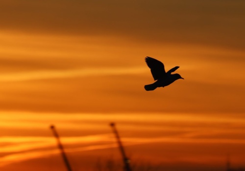 Po ciepłym piątku zmiana w pogodzie. Prognoza na sobotę 14 marca