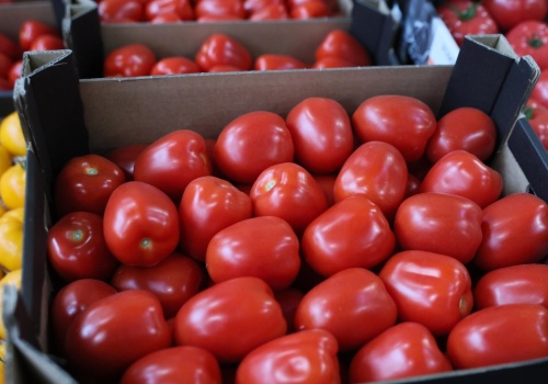 Płacą za nie każde pieniądze. Zaskakujące ceny w Broniszach