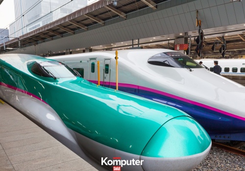 Dlaczego Shinaknseny mają taki kształt? Konstruktorom pomogły... ptaki