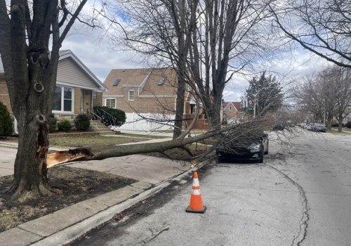 Szacowanie szkód po wyjątkowo wietrznym piątku w Chicago