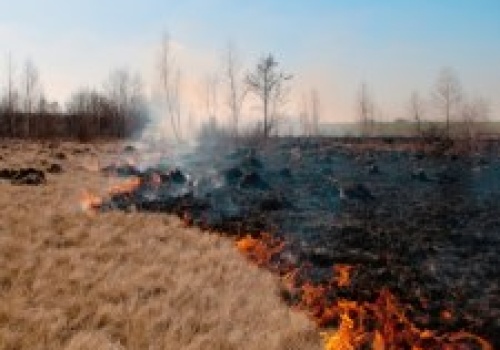 25 hektarów w ogniu. Dramatyczna walka z pożarem lasu i łąk