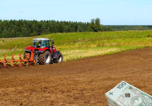Ile kosztuje ziemia V i VI klasy? Sprawdzamy aktualne ceny