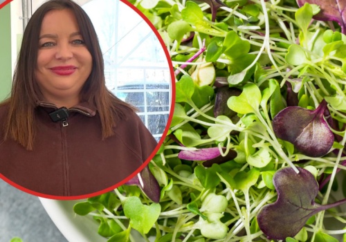 Jak z 3 hektarów zrobić dochodowe gospodarstwo? Tak małe gospodarstwo buduje rynek