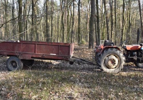 Śmiertelny wypadek przy wycince drzew. Zginął mężczyzna