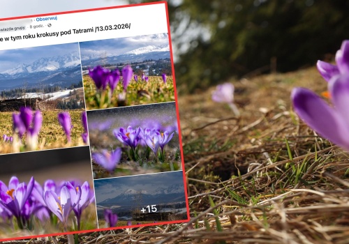 Wybrała się na Podhale. Pokazała, co udało się jej znaleźć. 