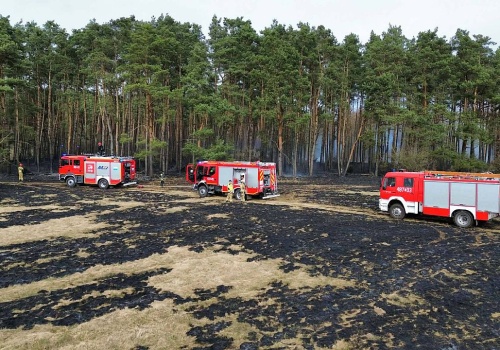 Spłonęło 12 hektarów nieużytków i lasu