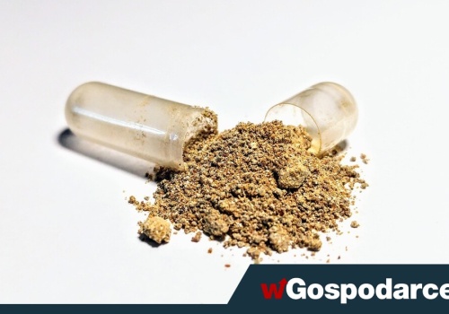 Czy warto przyjmować ashwagandhę na wsparcie tarczycy?