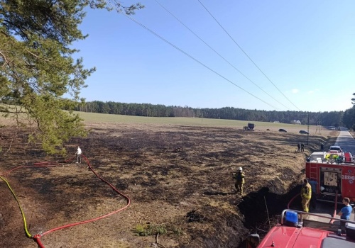 Pożar suchych traw między Wólką Husińską a Husinami. Ogień objął około hektara terenu