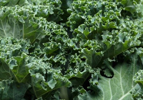 Uderzą w tłuszcz, rozkręcą metabolizm. Lekarka podała listę