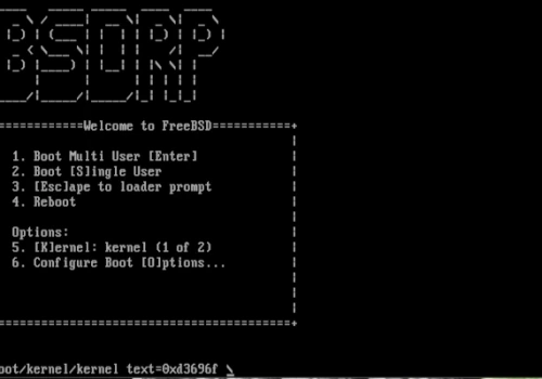 BSD Router Project 2.1