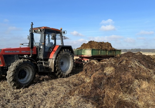 Ceny obornika w marcu 2026 r. Kiedy można go stosować?