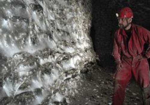 Największa pajęczyna świata. 