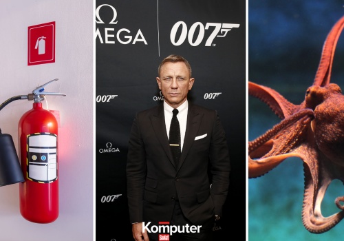 Quiz dla umysłowej elity. 15 trudnych pytań z wiedzy ogólnej