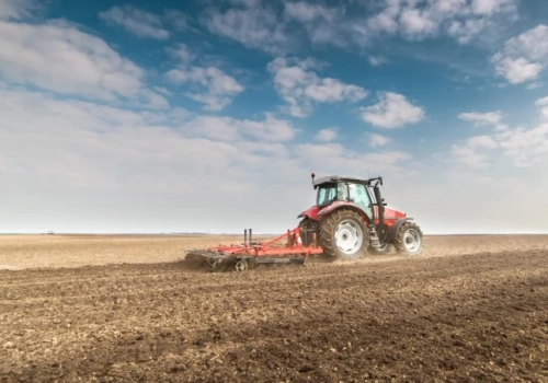 Na Dolnym Śląsku wiosenna orka zakończyła się odkryciem bardzo cennego skarbu