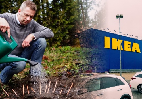 Sprzedawca ołówków 