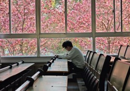 Polacy się wypowiedzieli. Mówią jasno o edukacji