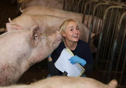 Lochy w dobrej kondycji to nie przypadek. Ten „trik” decyduje o prosiętach, mleku i długości użytkowania