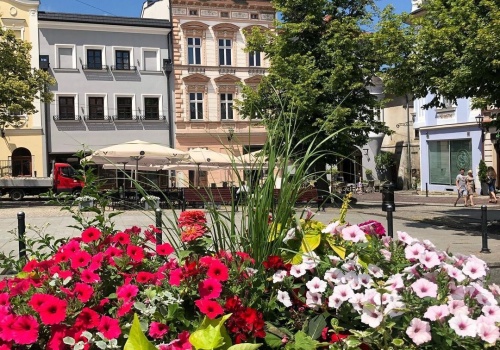 Miasto szykuje się do wiosny - kupi setki sadzonek