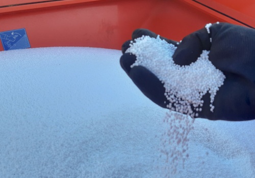 Nawożenie ozimin musi być dopasowane do stanu plantacji