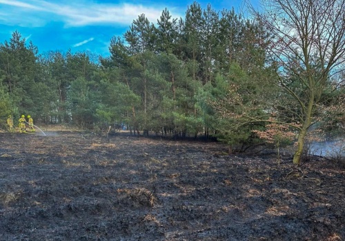 Duży pożar lasu w Gminie Strzałkowo