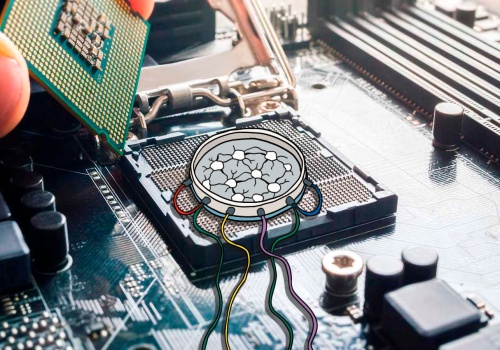 Jak zbudować “chip” z ludzkich neuronów?