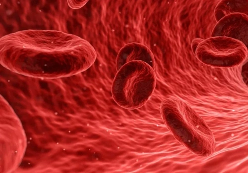 „Życie ze szpiczakiem jest jak maraton bez wytyczonej trasy”. Pacjenci szczerze o lękach i wyzwaniach