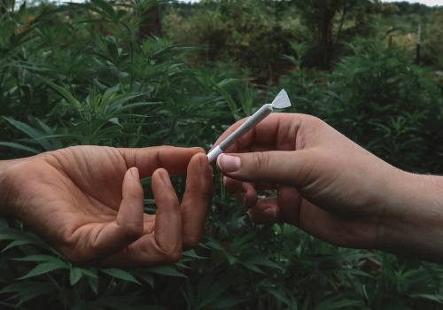 Ile nielegalnej substancji to „nieznaczna” ilość? Wyjaśniamy, czym jest tabela wartości granicznych