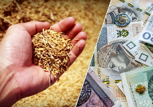 Niskie ceny zbóż dobijają rolników. Walczą o skup interwencyjny po 230 euro/t