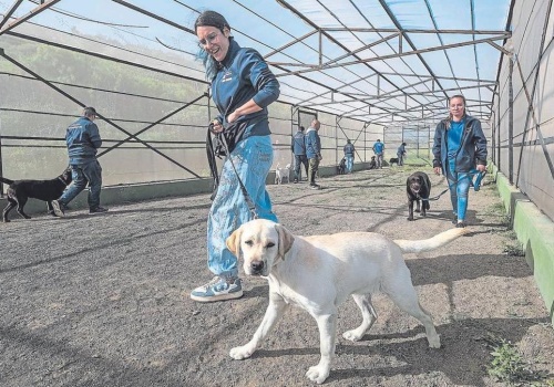Pierwsza szkoła psów asystenckich powstaje na Wyspach Kanaryjskich