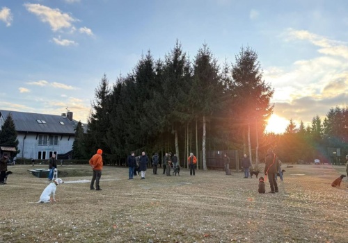 Wyszkolone psy na tropie padłych dzików