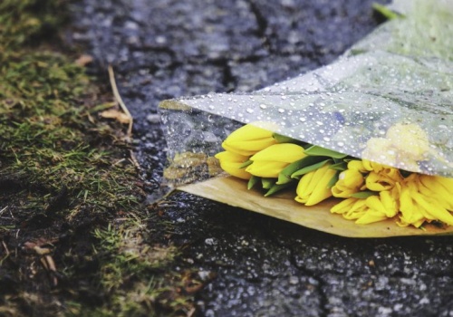 Pogoda na poniedziałek | Chłodniej i deszczowo