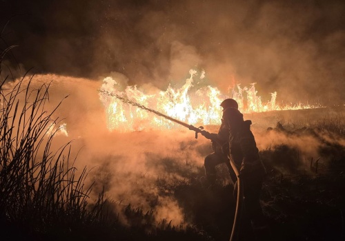 Trawy w ogniu. Strażacy z Podkarpacia interweniowali setki razy w jeden weekend