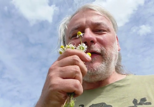 Nie każda roślina z lasu jest bezpieczna. Prof. Łuczaj: zwykłe konwalie są śmiertelnie trujące